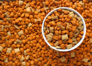 Fabricar piensos para animales